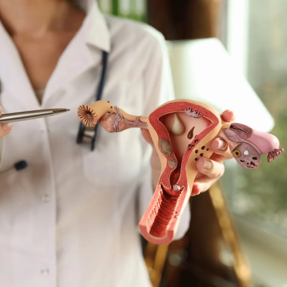 Vaginal rejuvenation cost 2026 — surgical and laser price, Turkey vs UK and USA