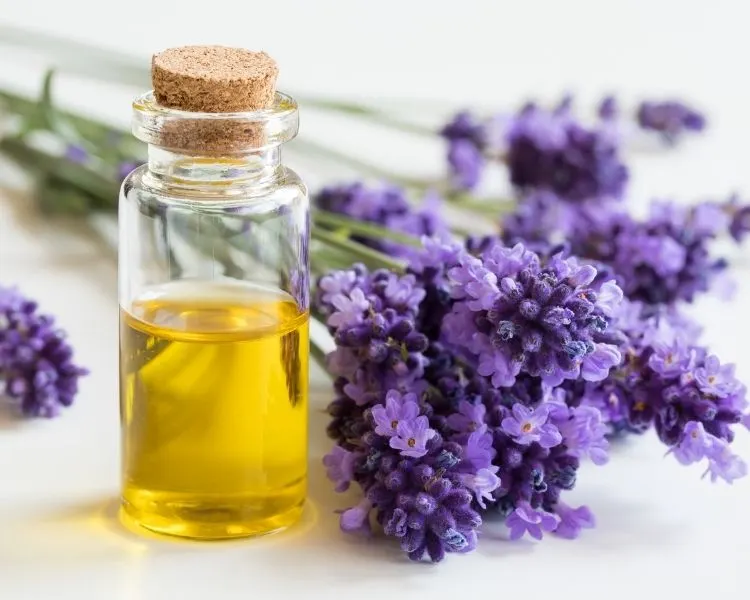 Rosemary essential oil for hair growth — best evidenced natural hair treatment
