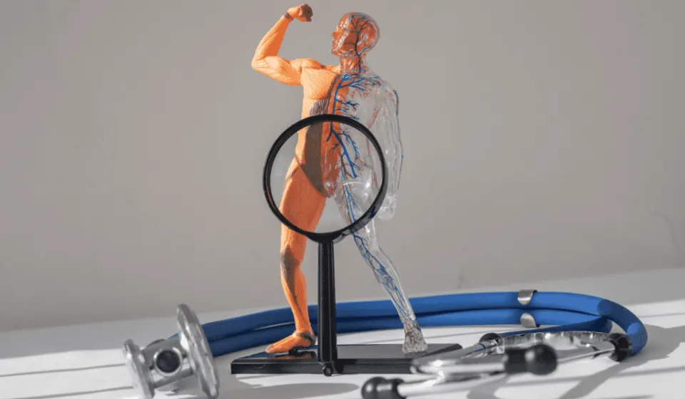 penile implant surgery cost