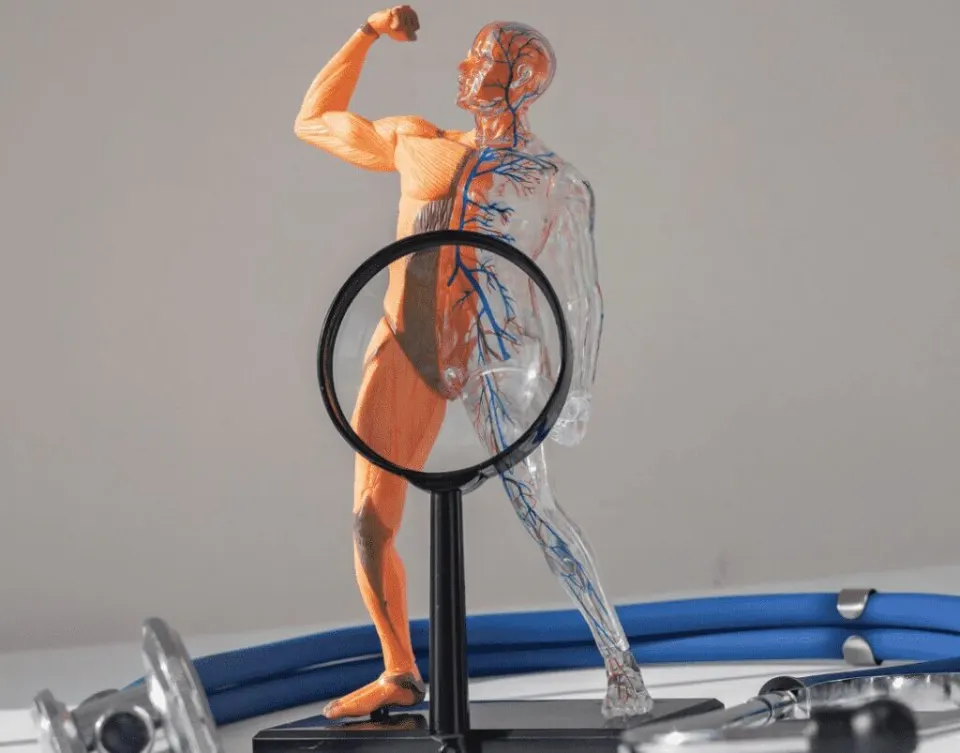 Antalya Erectile Dysfunction