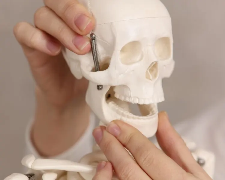 Effects of crooked teeth on dental health — jaw overbite misalignment